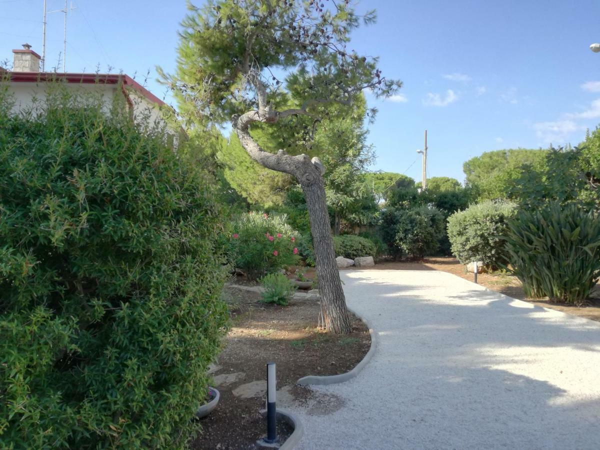 Villa Mariolina Guest House 巴里 外观 照片